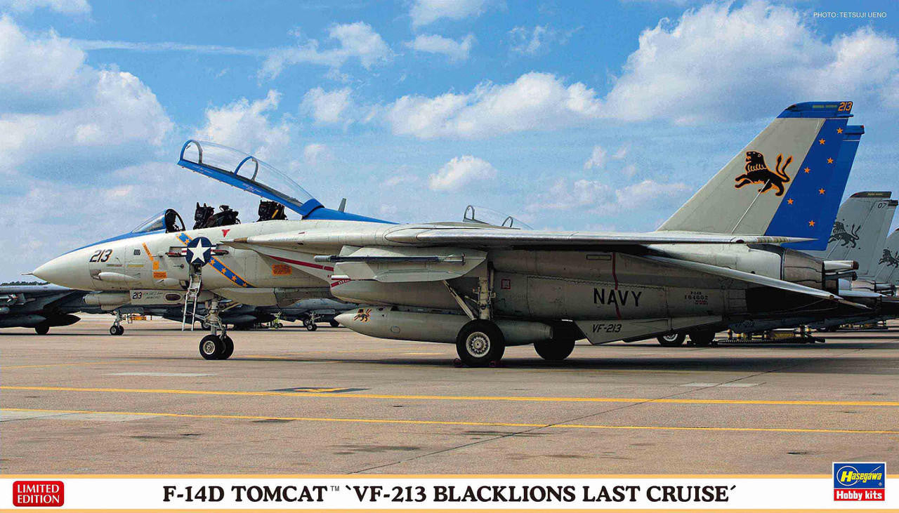 Hasegawa 1/72 F-14D Tomcat VF-213 02406